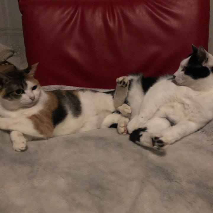 B1a9c8f5 3611 44da 9812 3ee0a068a533 1606941005618