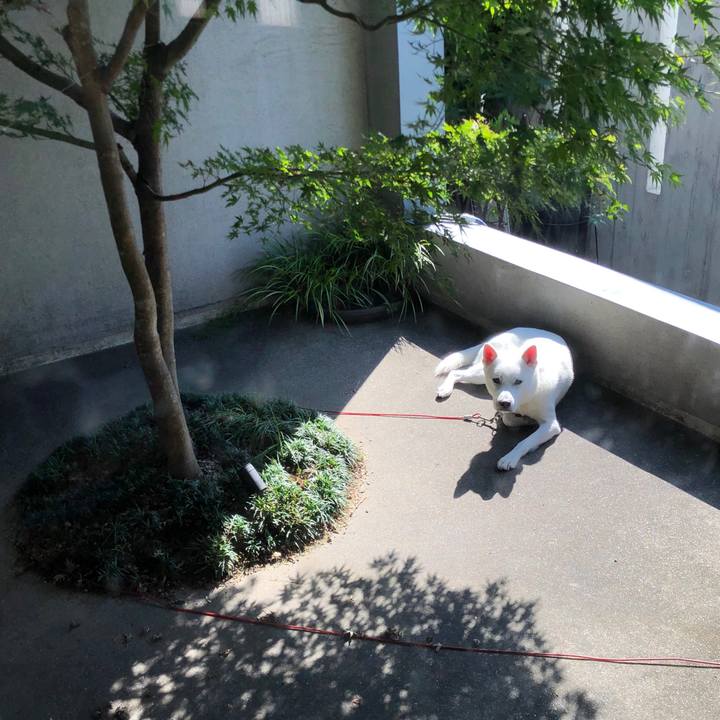 B1a9da94 b719 4986 9b38 fa209c457b7b 1570753583496