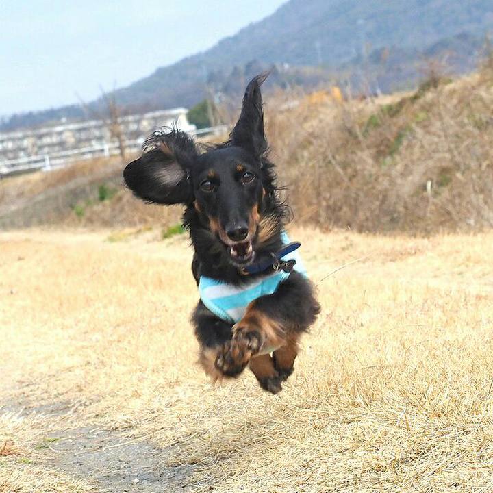 B1a9f478 c940 4351 bae5 4dc079f17dd6 1550982735739