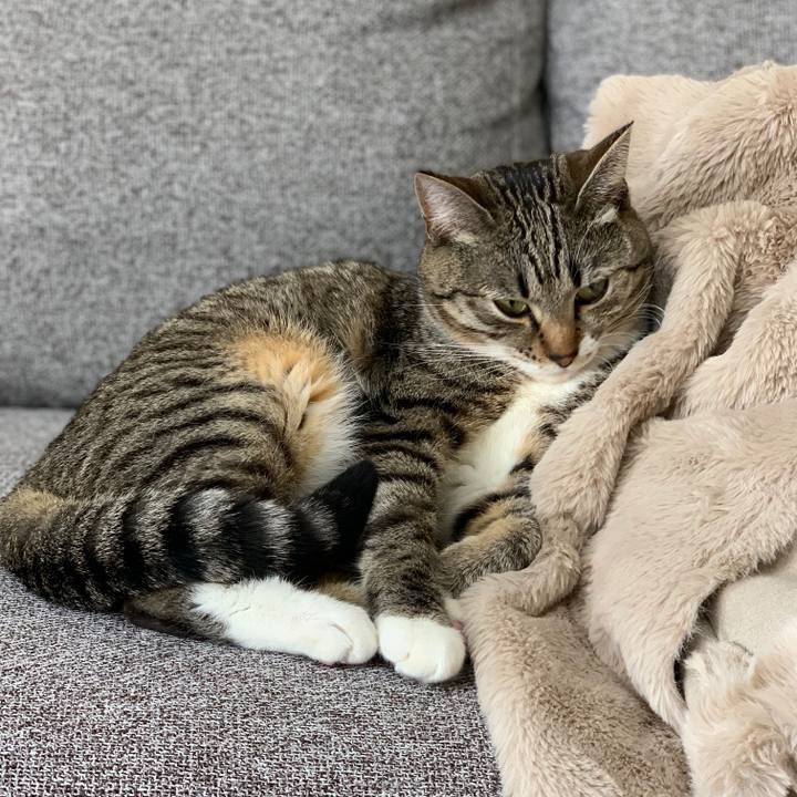 B1a9fb1b ea0a 4812 b165 80a31fb3c34c 1546682928541