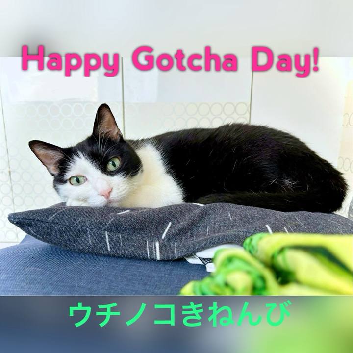 B1aa281d 9087 48ad 9b1e 4ec1983f353c 1720476910680