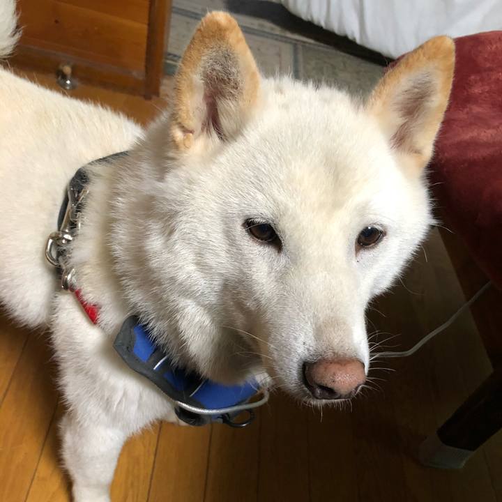 B1aa7253 4821 4aae 9d2f 97bfaa36f3a8 1623230585428