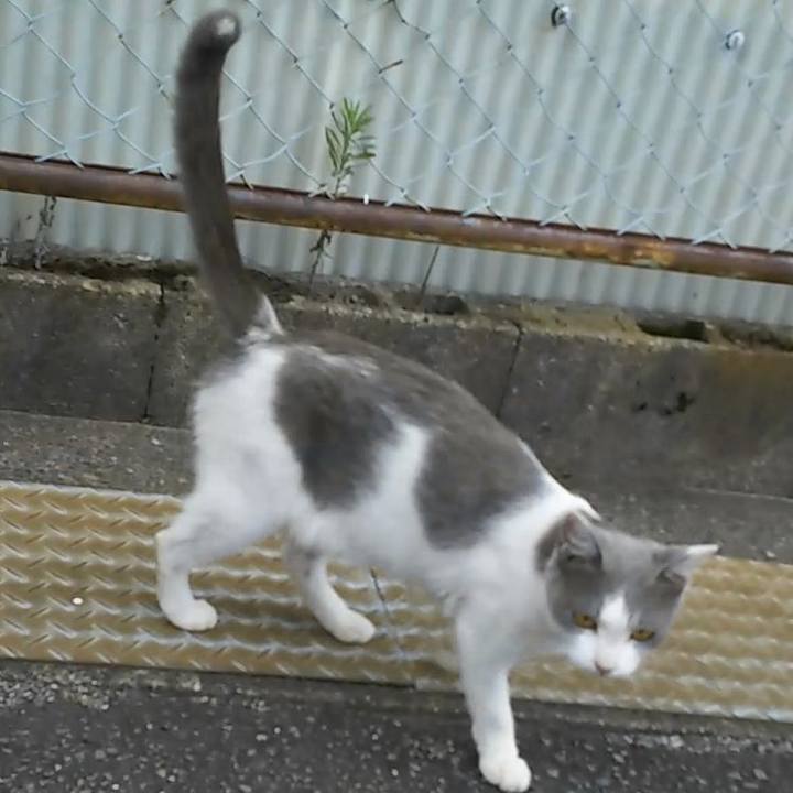 B1aaab60 ce54 4f2b b5fb a831cd438345 1566722840916