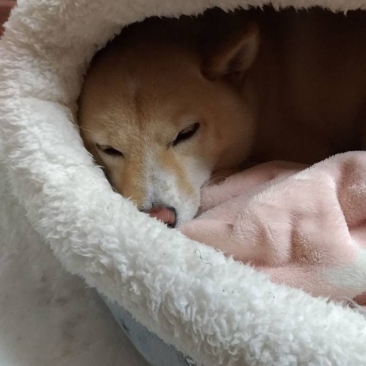 B1aabafc e334 4100 8912 d81548d03641 1603369530659