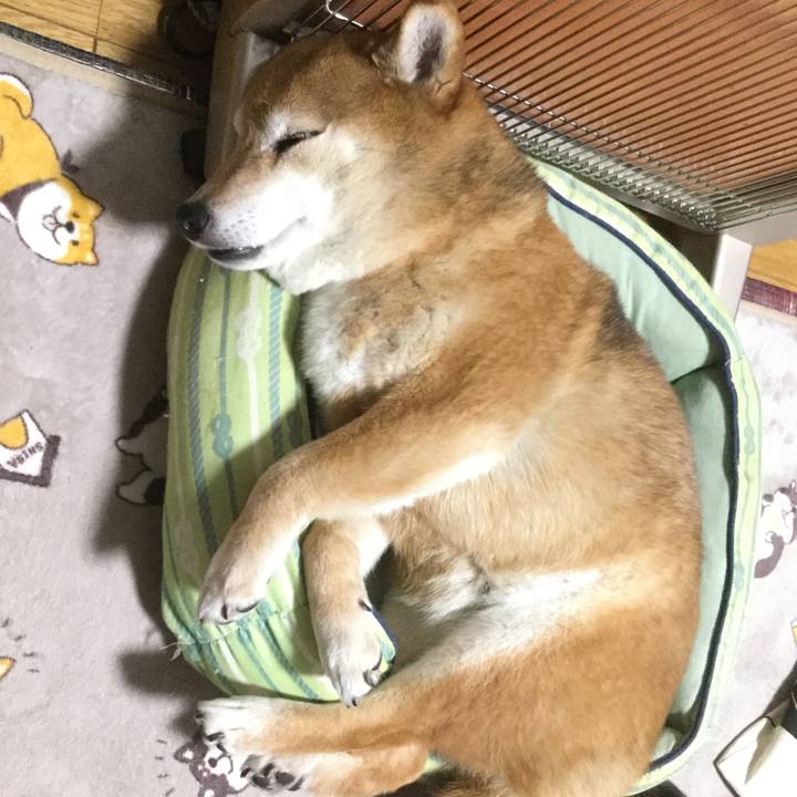 B1aaeefd fef7 4893 bf57 cb54d071ca9e 1615900238236