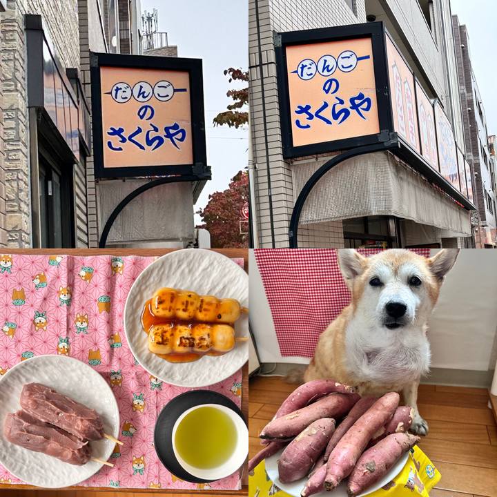 B1aafa59 47a1 447e a638 476391e12a7a 1760606671268