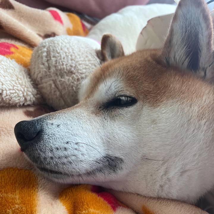 B1ab1d2c 32d6 4855 b5fb a62fa51b6b6b 1703892446811