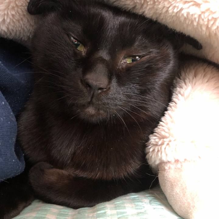 B1ab3d91 6fb7 455c a660 0c4b9d5d1986 1733622681134