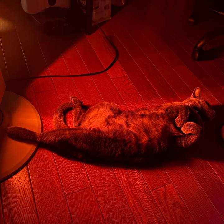 B1ab3eed 819a 48f8 bf87 9c3e701b8b69 1766909371489