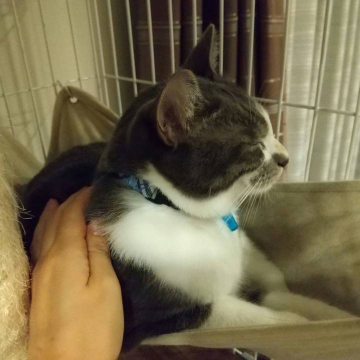 B1abaa97 b447 4ce9 adf0 c0fef32b861d 1597157119319