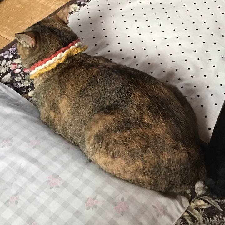 B1abd4f7 2755 4579 984b 86ea9c9e5c4e 1622500957550