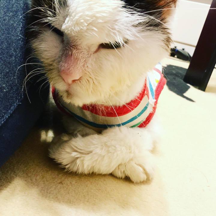 B1abe804 8966 4eca 88dd c3ffed4560d4 1602174376298