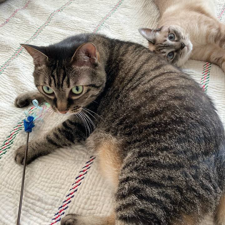 B1ac0f92 8db0 461f bc1c 5f8e88bd496d 1718500358329