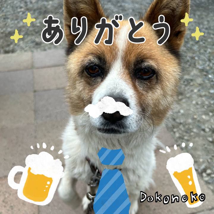 B1ac3e90 22ed 4402 9ae5 d732445175ce 1718480090365