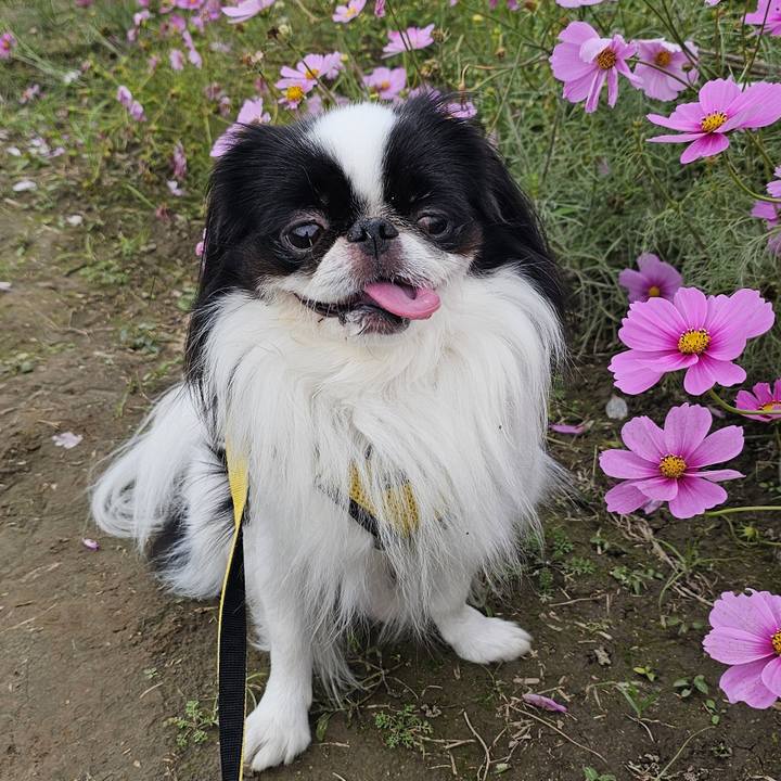 B1ac428c 81e1 4480 bc55 85305fc93cd7 1730455718399