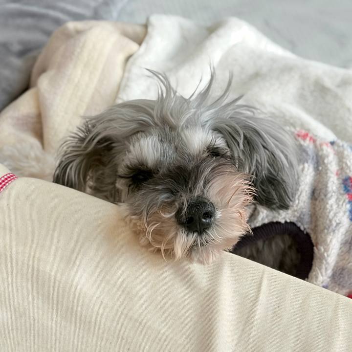 B1ac55f3 2b4a 44c7 986a ce5d2e4e8e21 1772420453322