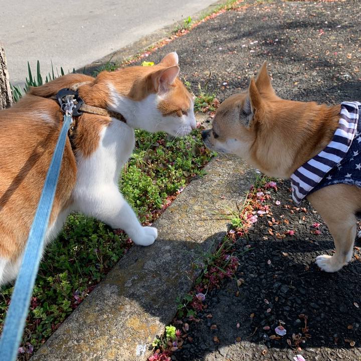 B1ac5a4b ea86 441d 9755 b9ce333bb1c3 1618701539398