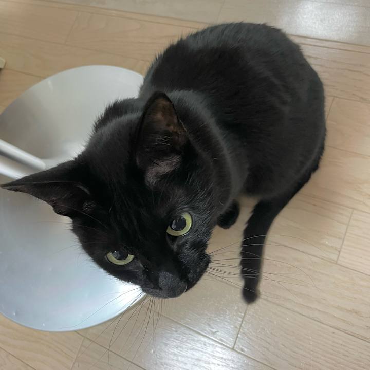 B1aca404 0205 42cc a473 d5f30f8f9f17 1648216513056