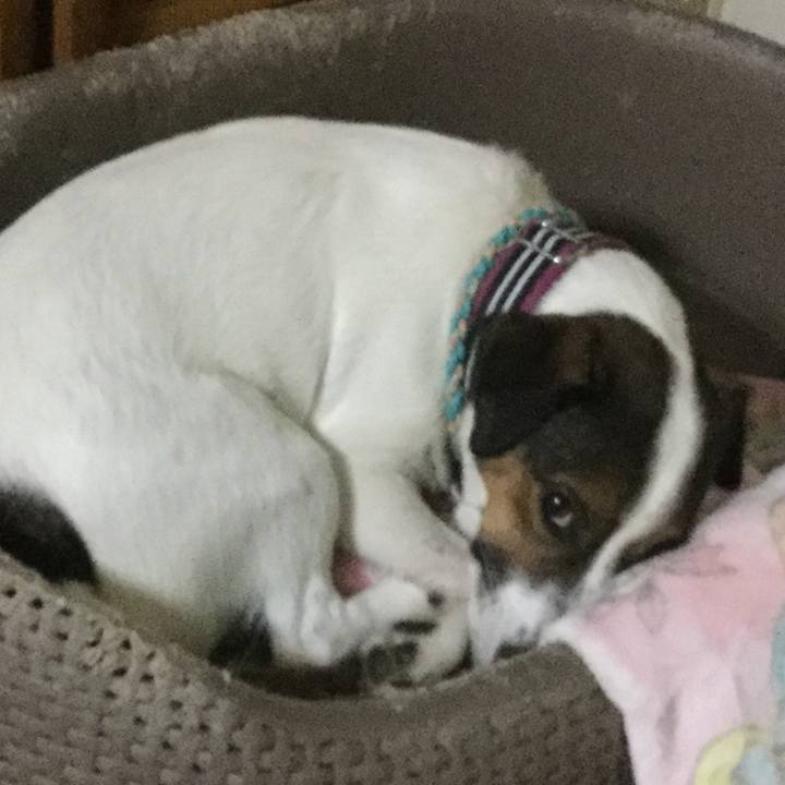 B1acd5cd c6a7 4a03 8d19 068d64fad3cb 1507896158000