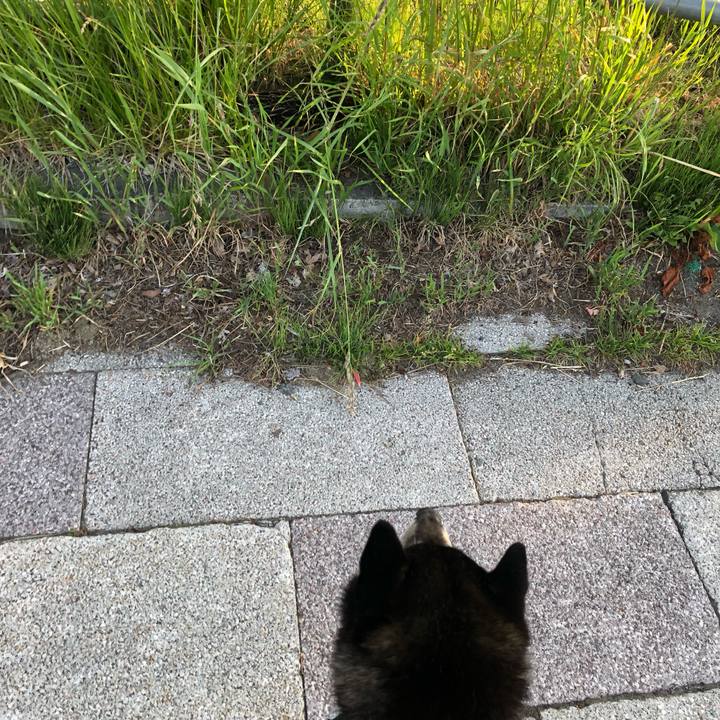 B1ace187 2ed0 40bb b10b 0a0a24458f97 1560125587396