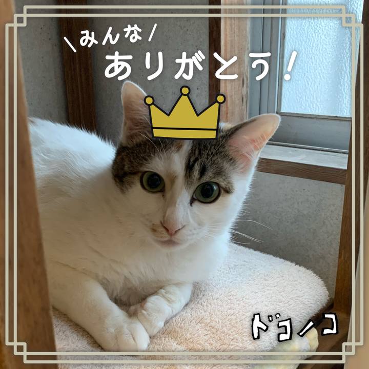 B1ad18ca 2052 42b1 b52b 8d531e347946 1622964312265