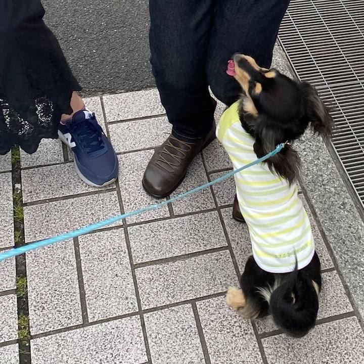 B1ad3209 c3bd 4fea a78d 8635a66bd486 1685932515936