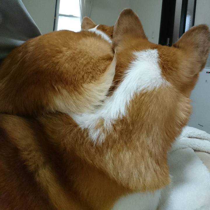 B1ad73ff 105b 4df9 8a96 8cbc91b8b5ec 1519099748522