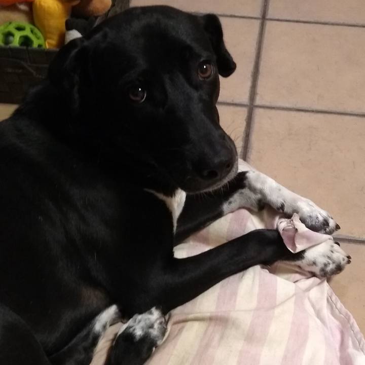 B1ad805e 3f24 4e78 a500 db3f26cf9f77 1589934618964