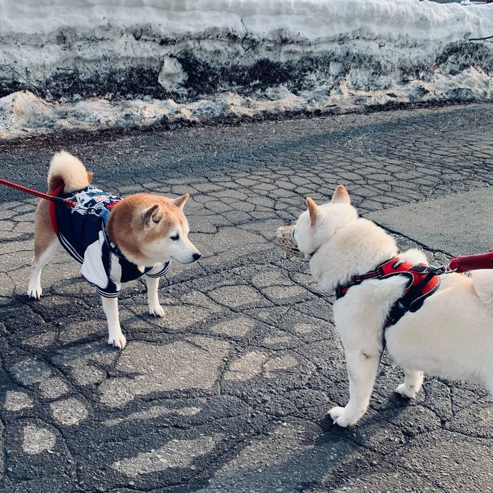 B1ad961b 778e 4669 b428 dcd8e3a50e71 1678576388705