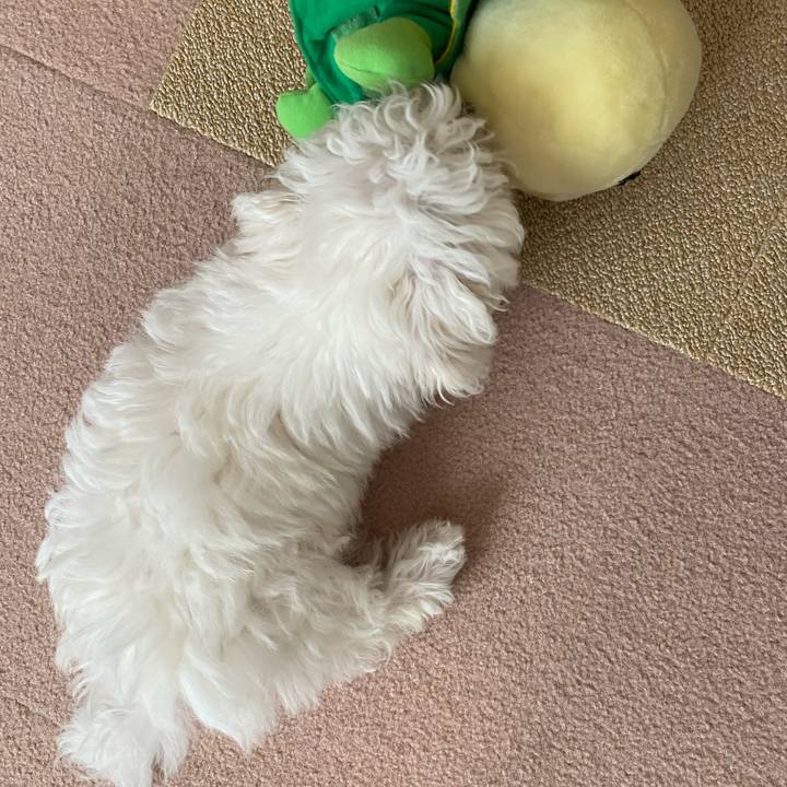 B1ada106 2383 49fe 92f8 037886a7a9c4 1742982099982