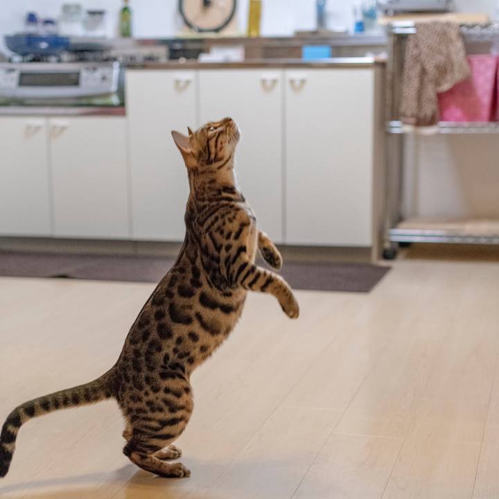 B1adde84 4354 42d0 a5e5 a2e4a9df5822 1530889358865