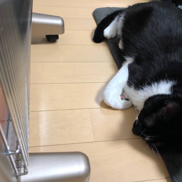 B1addf8a 1b50 4fba 84d6 c2afc3bc265f 1545631276911