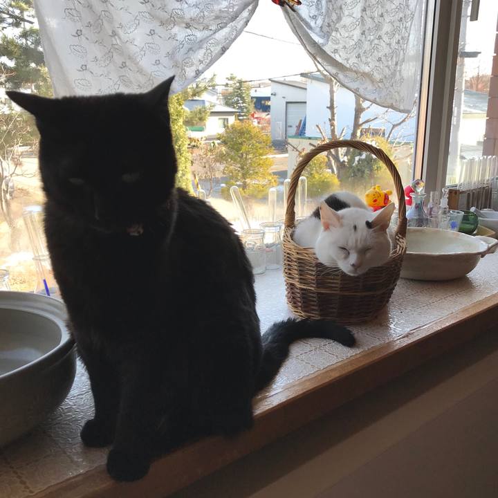 B1ae1cbd 92f2 43a0 af12 9e0f9767c983 1586671927205