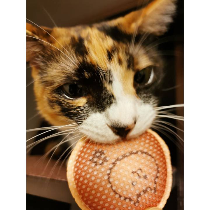 B1ae383a c0d7 4322 b3fb 5105cd6dfda1 1625041535846