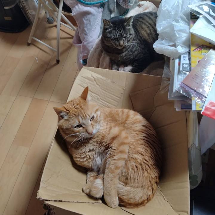 B1ae50f5 05eb 41d6 99f4 3039e8f18153 1681515527000