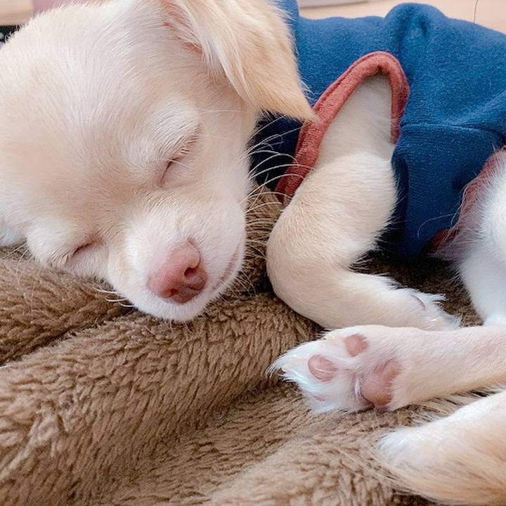 B1ae70d5 b121 497f a857 1b59802350ec 1597462208037