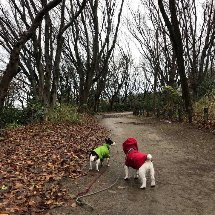 B1ae7859 7509 4b3d 8ba5 d037ba5ad596 1545779879707