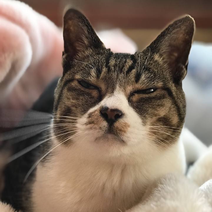 B1ae9430 e0fb 431c 94be 995e3eae1409 1523230882678