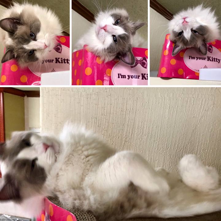 B1aea174 5afa 4cf3 becb 15ec2469c698 1614322560753