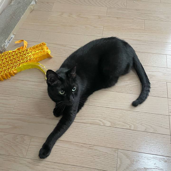 B1aec4dd 4769 46fc 9909 212036a53b9d 1679737805648