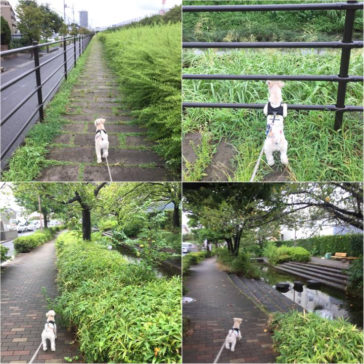 B1aec77a 802b 41a7 9d95 2c7c06390708 1535859411264