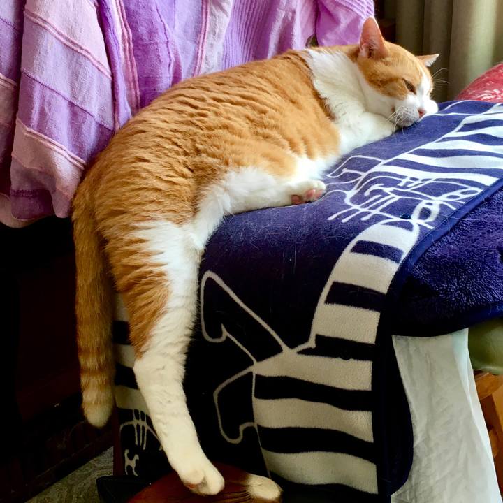 B1aed737 eb1e 43be 87d2 4aab55b64558 1571113437596