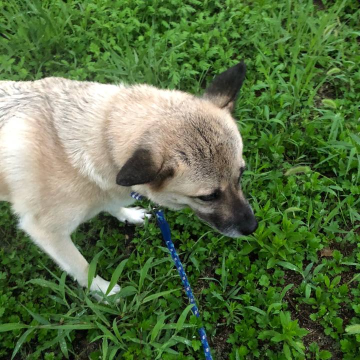 B1aefa8a e494 4e86 9326 4ee806a85a9b 1628852928703