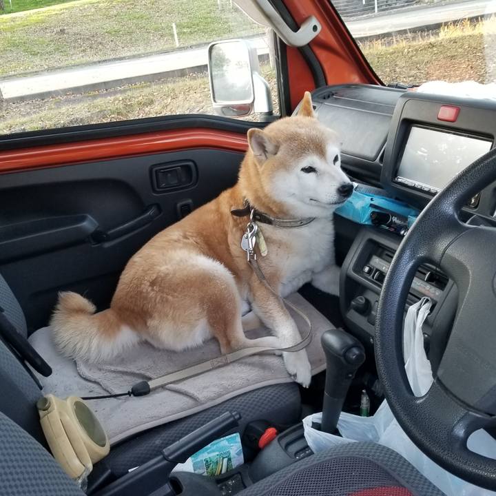 B1af0fc1 956a 4107 aa42 af505eea452f 1698823687647