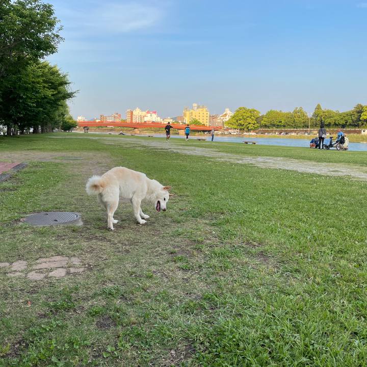 B1af135b e09d 4ea8 9e5a 91c7db763ed7 1653996349126