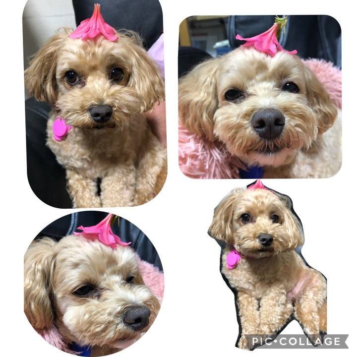 B1af373d 2b75 4683 bcbd 170fb09447f2 1684685454145