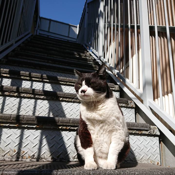 B1af3ec3 acf8 4bfb b3b1 d493d21b59f6 1614047743759