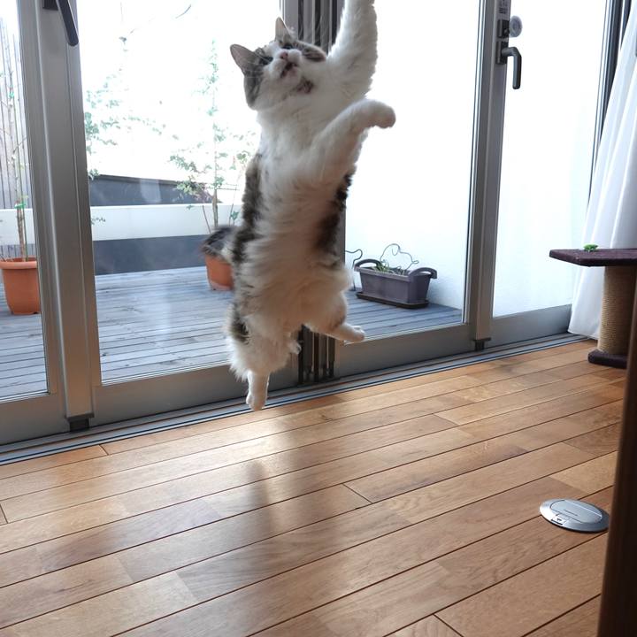 B1af505c c192 4544 ad64 47015cdedd37 1573869522618