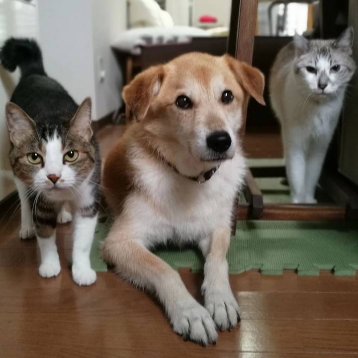 B1af6ec2 bb55 4efe bf2a 5a0e5285f0fb 1535447995898