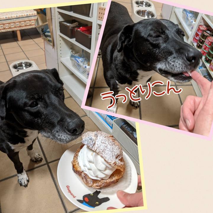 B1afa595 14dd 43d2 b856 f5e58dd3f601 1698059788536